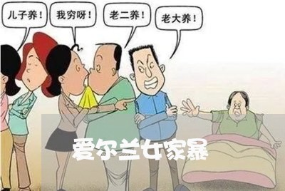 爱尔兰女家暴/2023120420684