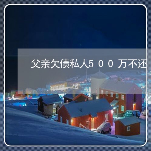 父亲欠债私人500万不还/2023111734705