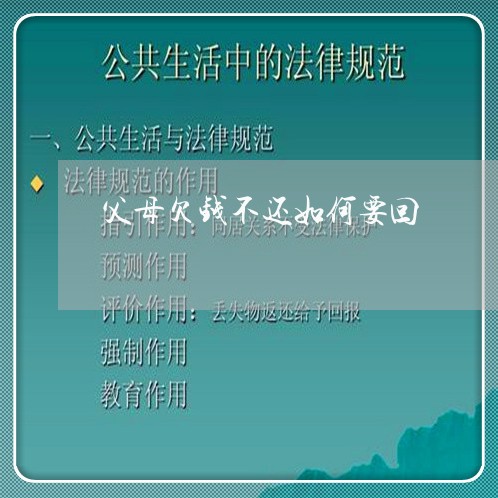 父母欠钱不还如何要回/2023111459461