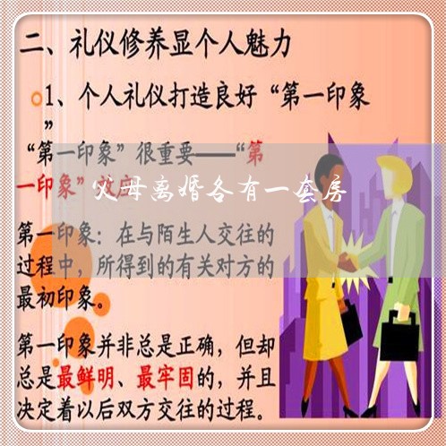 父母离婚各有一套房/2023110215838