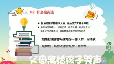 父母离婚孩子哭声/2023092887049