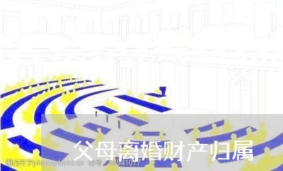 父母离婚财产归属/2023100216060