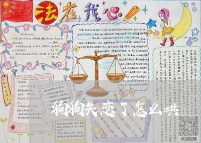 狗狗失恋了怎么哄/2023100629261