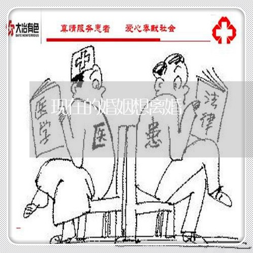 现在的婚姻想离婚/2023112353718