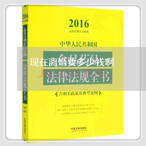 现在离婚要多少钱啊/2023110591714