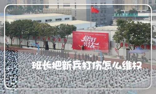 班长把新兵打伤怎么维权/2023062525369