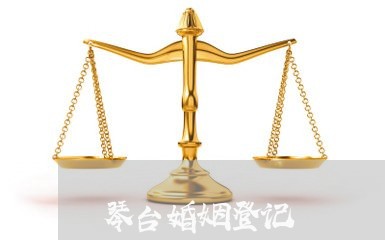 琴台婚姻登记/2023112602706