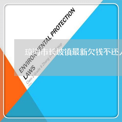 琼海市长坡镇最新欠钱不还人员/2023120518269