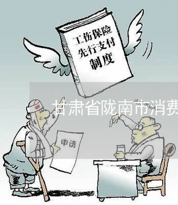 甘肃省陇南市消费者协会/2023062782713