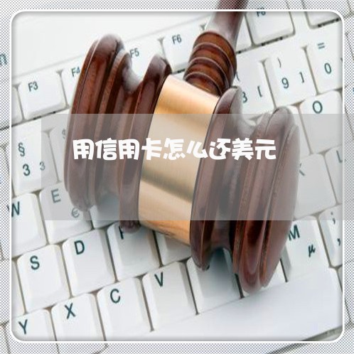 用信用卡怎么还美元/2023082596160