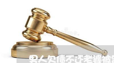 男人欠债不还老婆被告诈骗/2023111711492