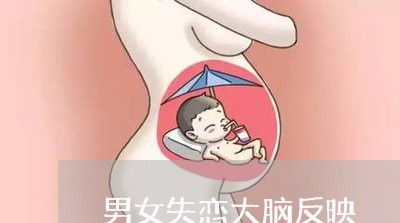 男女失恋大脑反映/2023110101492