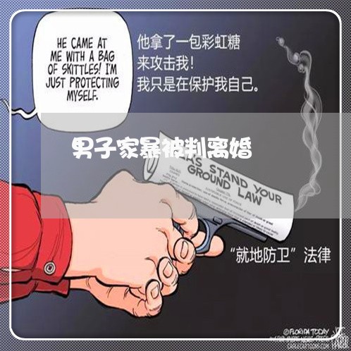 男子家暴被判离婚/2023100259491