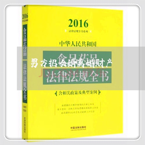 男方招女婿离婚财产/2023110901736