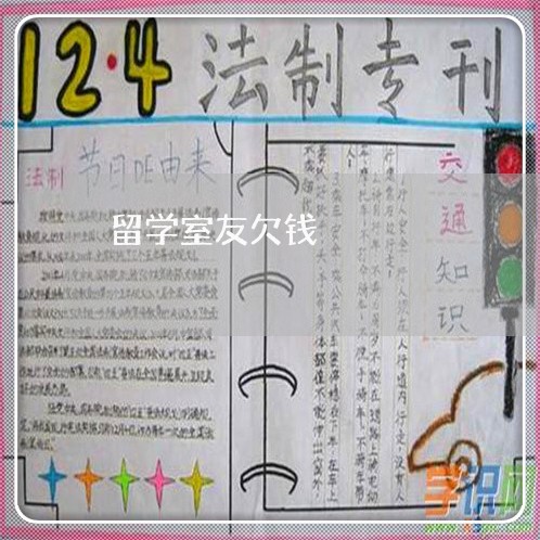 留学室友欠钱/2023121927949