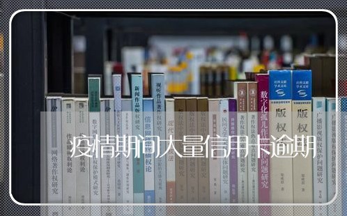 疫情期间大量信用卡逾期/2023051072683