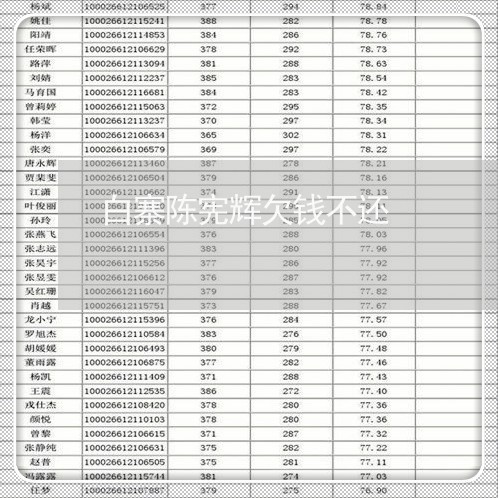 白寨陈宪辉欠钱不还/2023110140160