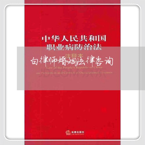 白律师婚姻法律咨询/2023112417182