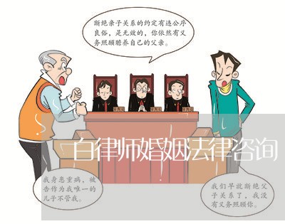 白律师婚姻法律咨询/2023112427289