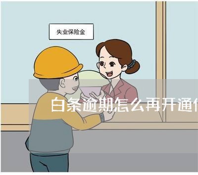 白条逾期怎么再开通信用卡/2023121830372