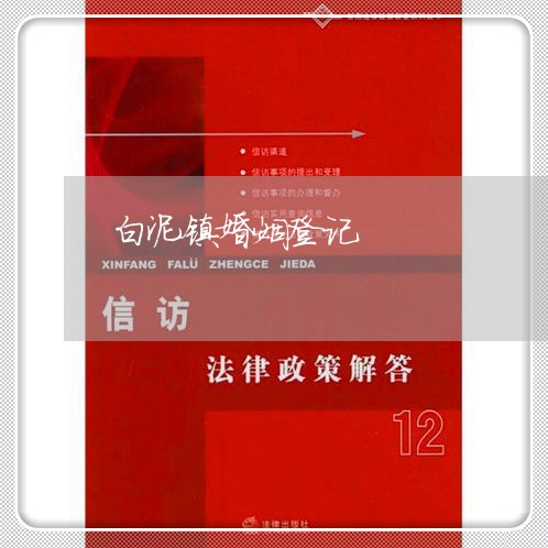 白泥镇婚姻登记/2023112618051