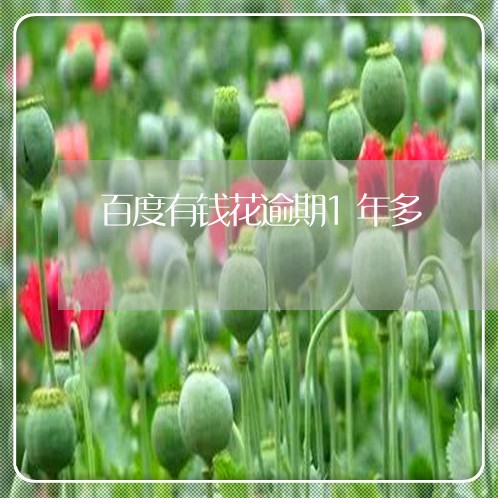 百度有钱花逾期1年多/2023080343038