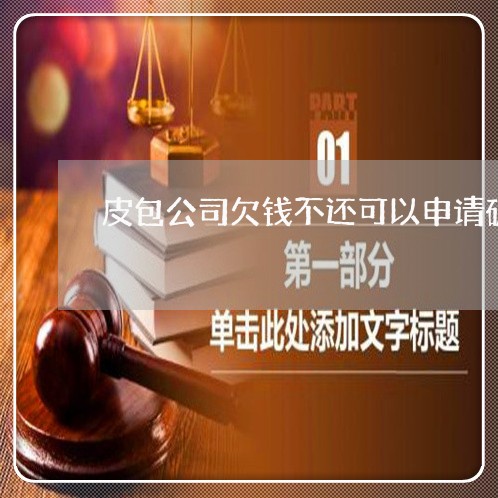 皮包公司欠钱不还可以申请破产吗/2023110983830