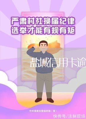 盐城信用卡逾期怎么协商还款/2023070827159