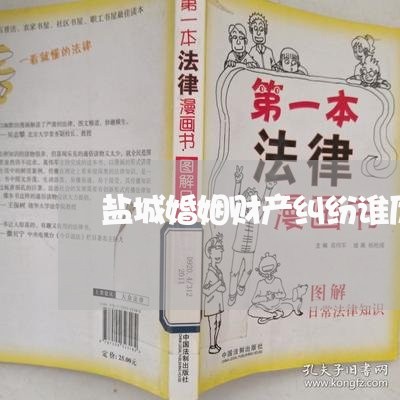 盐城婚姻财产纠纷谁厉害/2023112517371