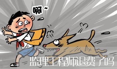 监理工程师退费了吗/2023061125937