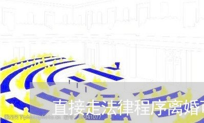 直接走法律程序离婚可以吗/2023111406057