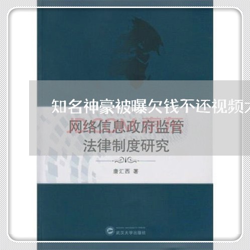 知名神豪被曝欠钱不还视频大全/2023093064938