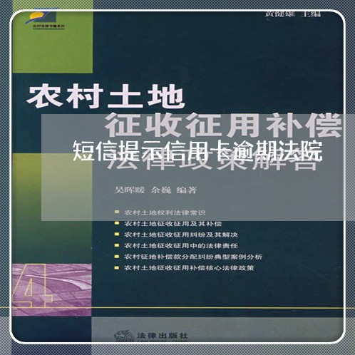 短信提示信用卡逾期法院/2023112494915