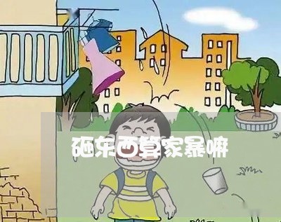 砸东西算家暴嘛/2023121937270