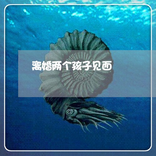 离婚两个孩子见面/2023092518389