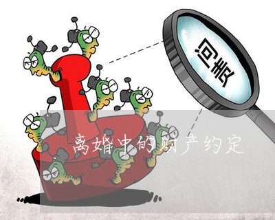 离婚中的财产约定/2023100139260