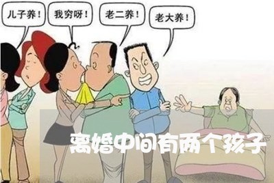 离婚中间有两个孩子/2023110541483