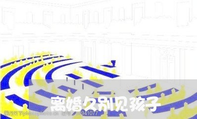 离婚久别见孩子/2023121612736