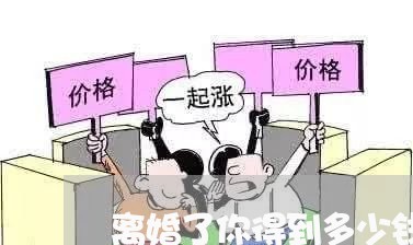 离婚了你得到多少钱/2023110534048