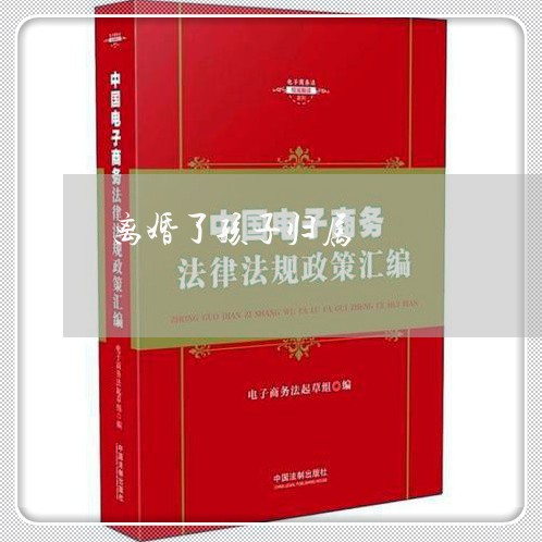 离婚了孩子归属/2023121999505