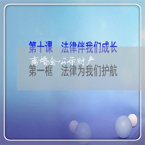 离婚会公示财产/2023121839469