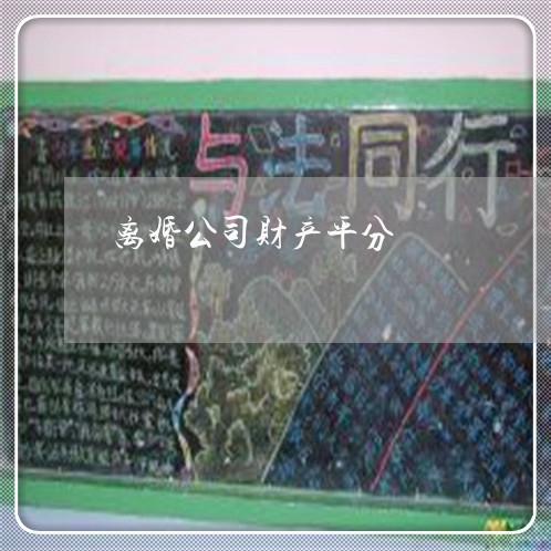 离婚公司财产平分/2023100281970