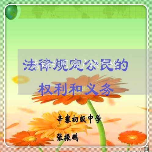 离婚共同房产钱咋给/2023110252514