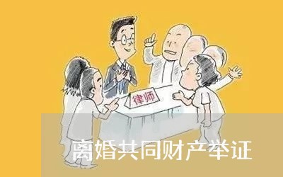 离婚共同财产举证/2023100161582