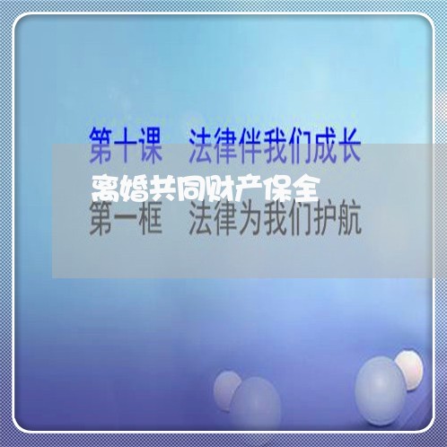 离婚共同财产保全/2023100116160