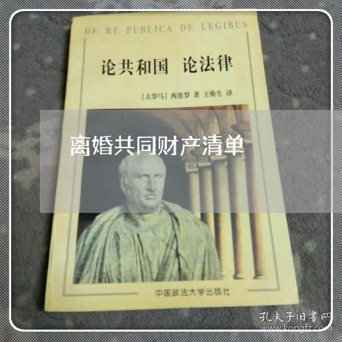 离婚共同财产清单/2023100171502