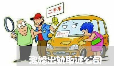 离婚出轨取证公司/2023092971694