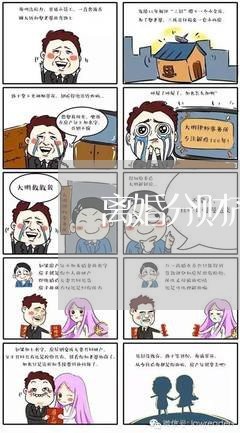 离婚分财产一地鸡毛/2023110900594