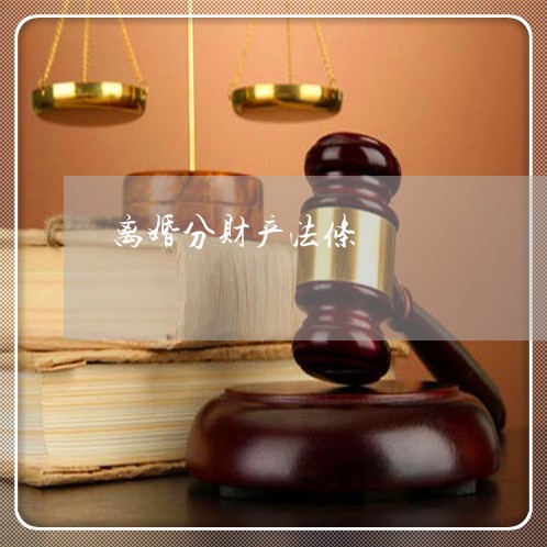 离婚分财产法条/2023121950584