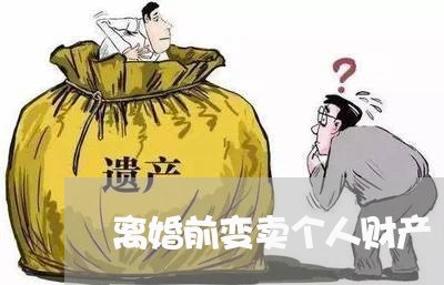 离婚前变卖个人财产/2023111029460